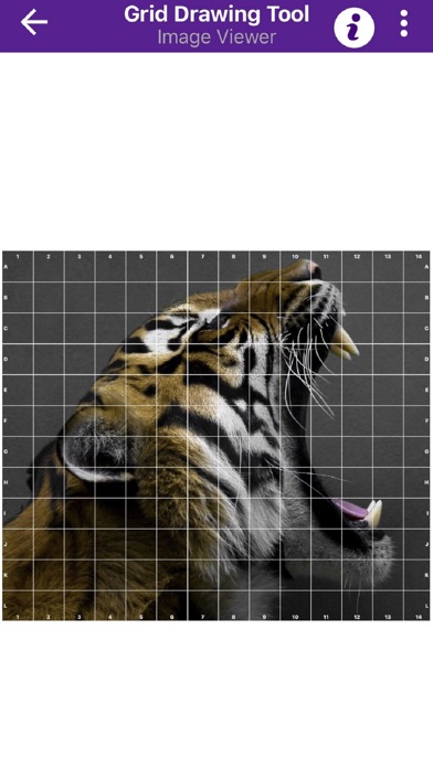 صور Grid Drawing Tool for Artists