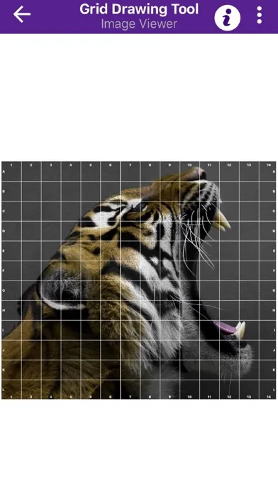 Grid Drawing Tool for Artists应用截图