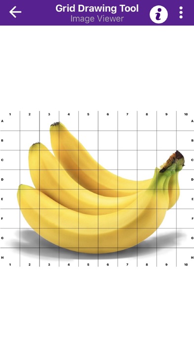 صور Grid Drawing Tool for Artists