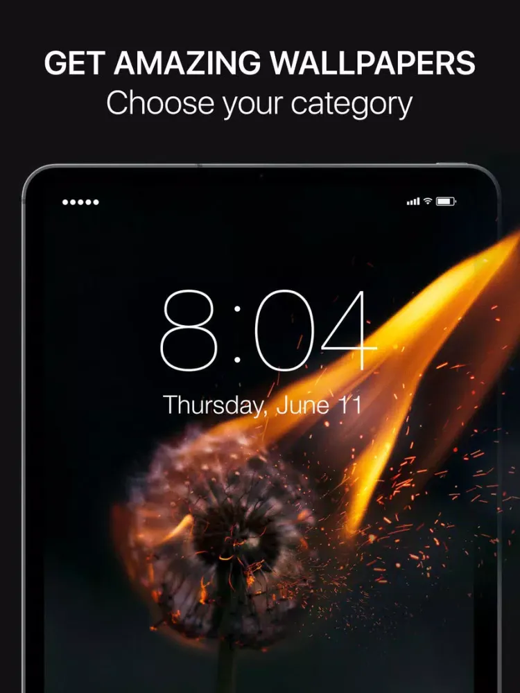 Live Wallpapers & Hot Pictures iPad 应用截图