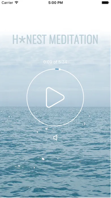 Screenshot di H*nest Meditation