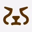 Cheetah Note