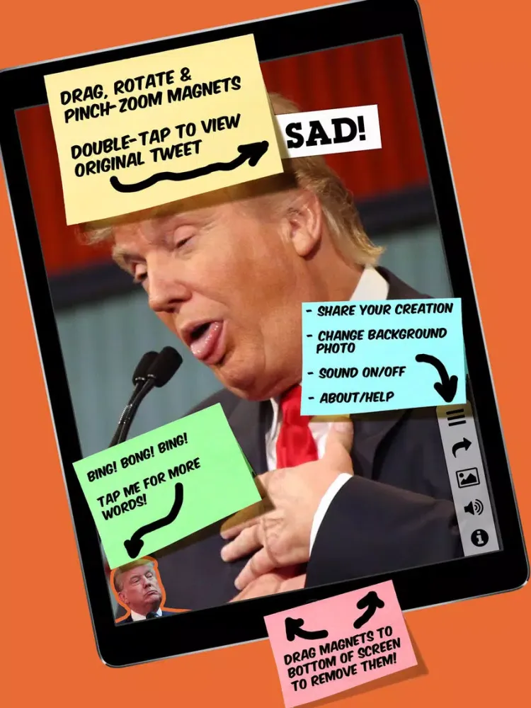 I Know Words...The Best Words iPad 应用截图