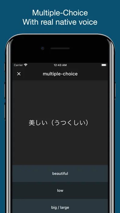 Japanese Basic Vocabulary应用截图