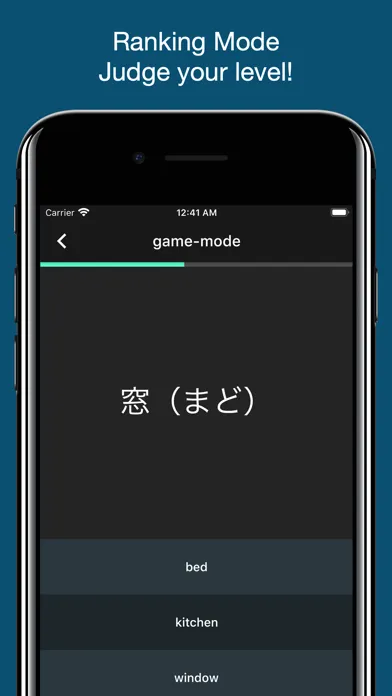 Japanese Basic Vocabulary应用截图