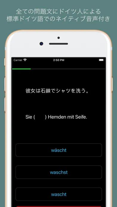 ドイツ語文法 Lite - ドイツ語検定・国際試験対応 سکرین شاٹس