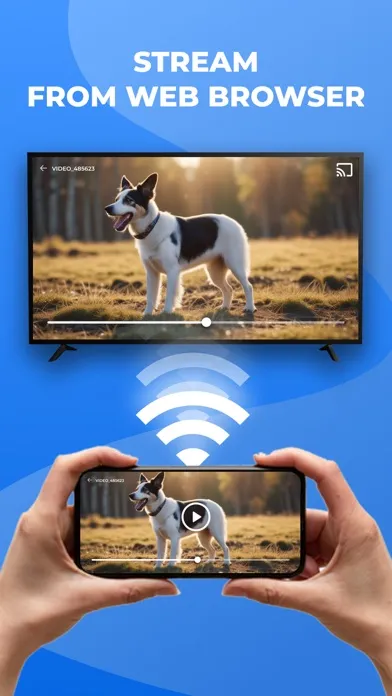 Screen Mirroring Smart TV Pro স্ক্রিনশট