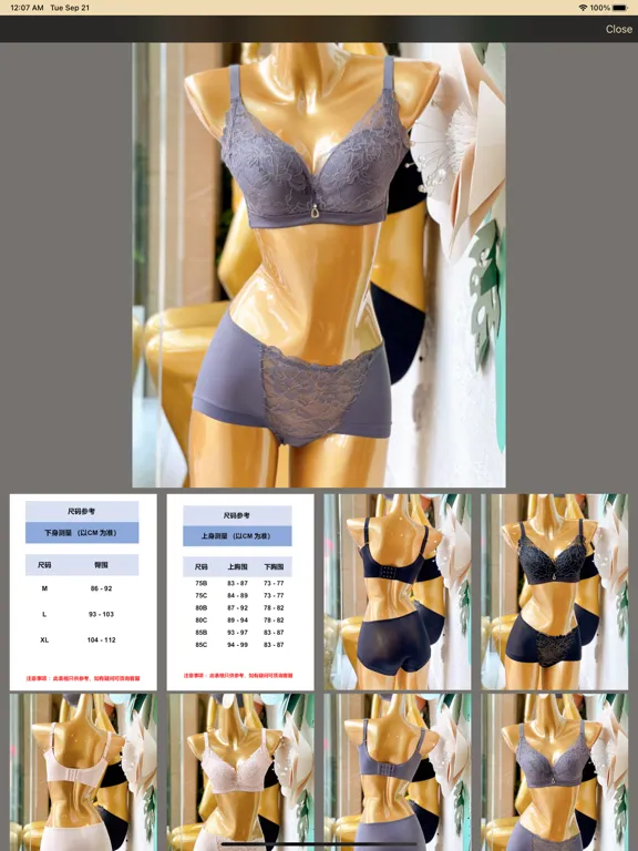 JCactier iPad  سکرین شاٹس