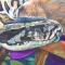 Anthropocene Extinction AR