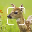 TrailCam Go TrailCam Go