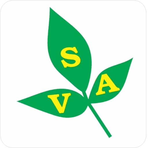 V.S.A. online test series