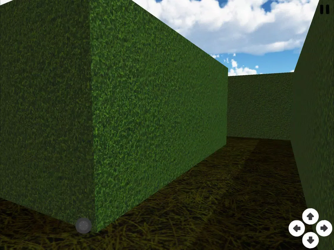 3D Maze iPad 应用截图