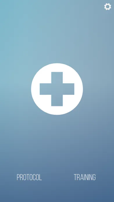 Tangkapan skrin UN Buddy First Aid