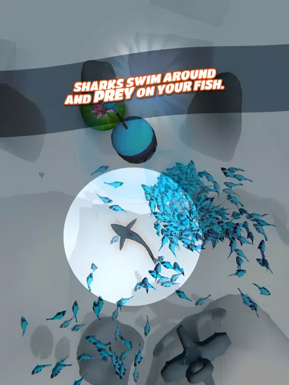 Fish and Hooks iPad  Screenshots