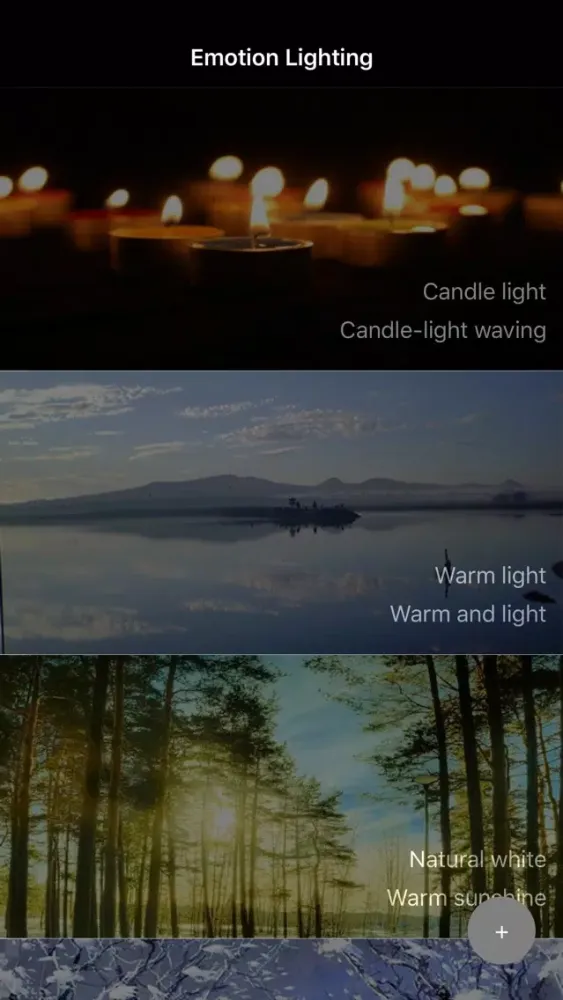 Shell Single Screenshots