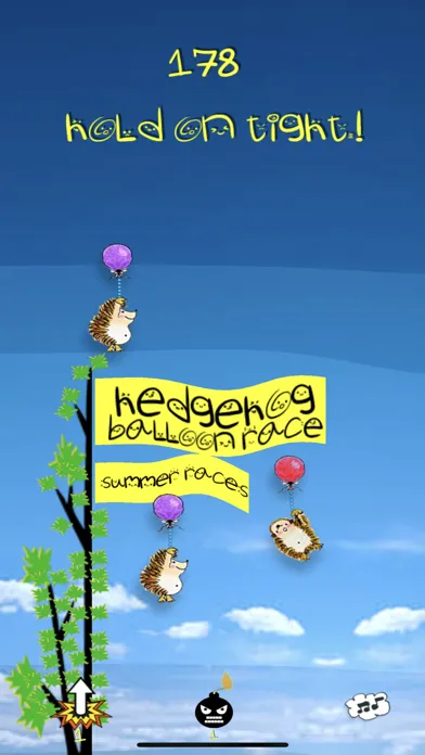 Hedgehog Balloon Race Screenshots