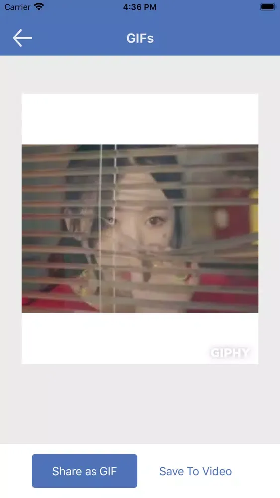 Скриншоты GIF : The GIF Search Engine