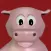 Year Of The Pig 2019 Stickers