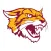 WildCat Web