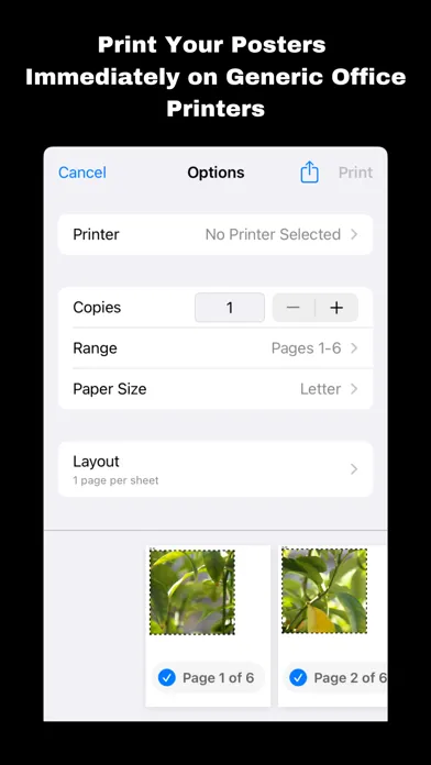 Capturas de pantalla de Poster Patchwork