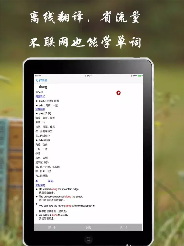 四级词汇详解-听音学单词及语音翻译 iPad  سکرین شاٹس