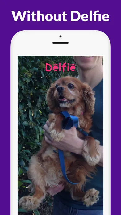 Dog Selfie Camera - Delfie Screenshots