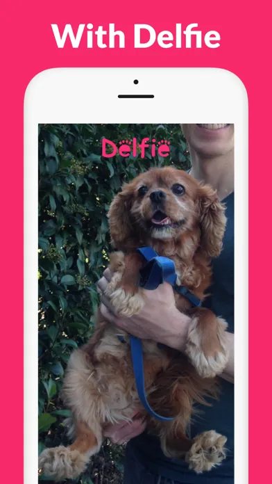 Dog Selfie Camera - Delfie Screenshots