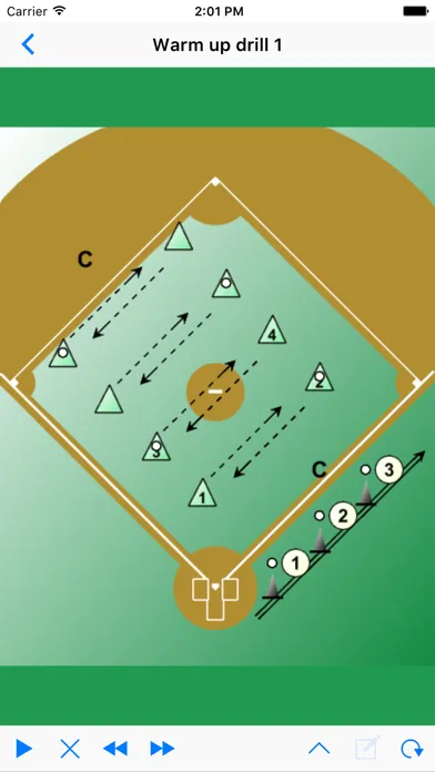ภาพหน้าจอของ Baseball Playview