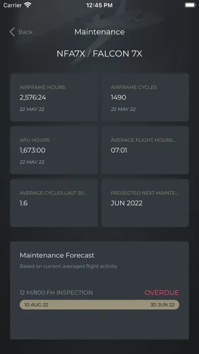تصاویر JetManager Digital Aircraft