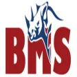 BMS Safe