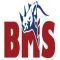 BMS Safe