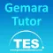 Gemara Tutor