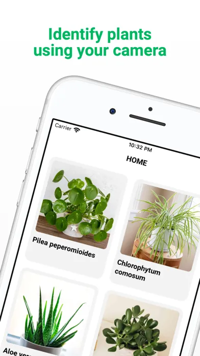 ภาพหน้าจอของ Plant ID - Identify Plants
