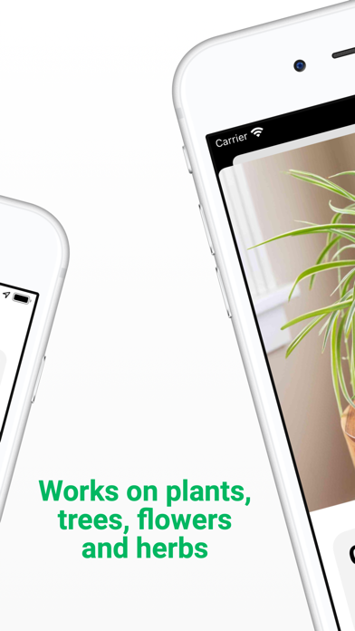 Plant ID - Identify Plants Ekran Görüntüleri