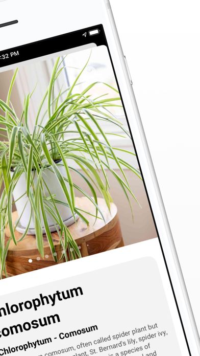 Plant ID - Identify Plants Ekran Görüntüleri
