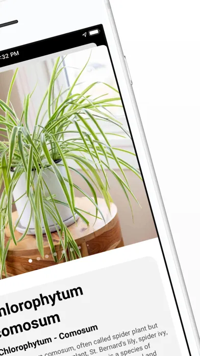 ภาพหน้าจอของ Plant ID - Identify Plants