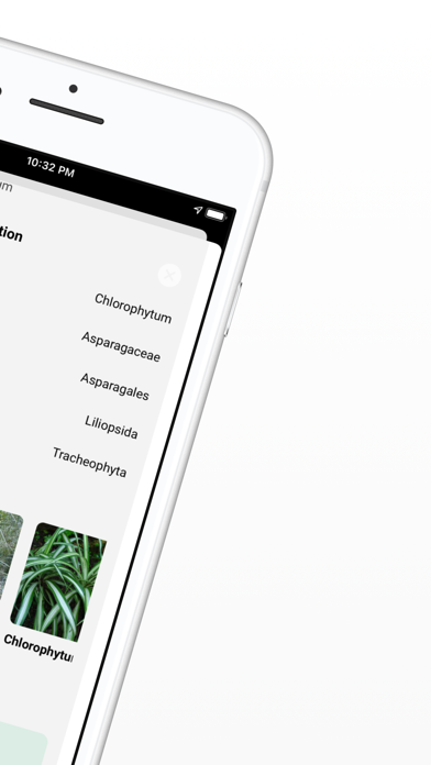 Plant ID - Identify Plants Ekran Görüntüleri