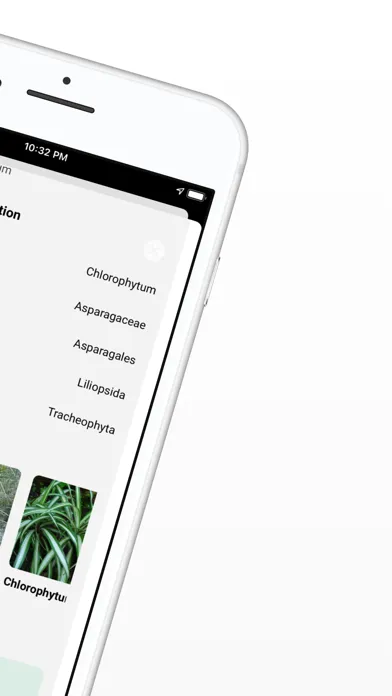 ภาพหน้าจอของ Plant ID - Identify Plants