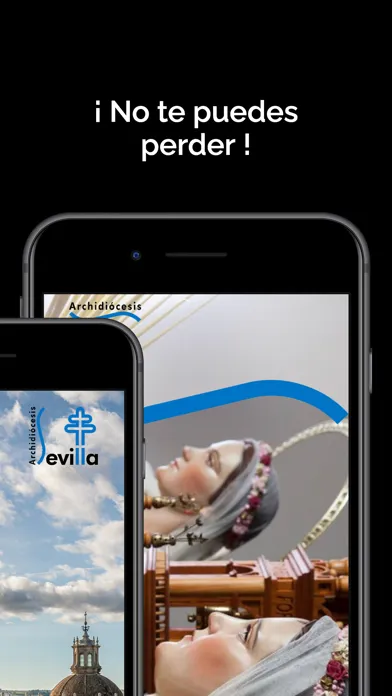 ARCHIDIÓCESIS de SEVILLA স্ক্রিনশট