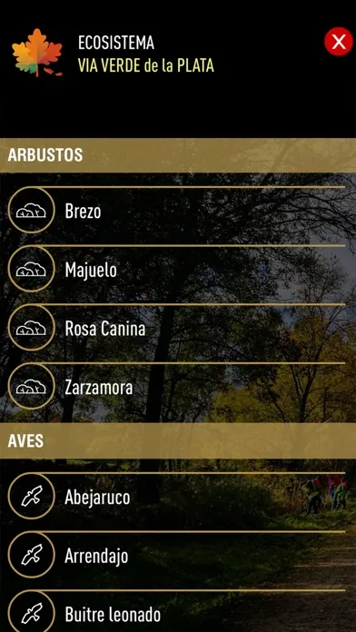 VIA VERDE DE LA PLATA... Screenshots