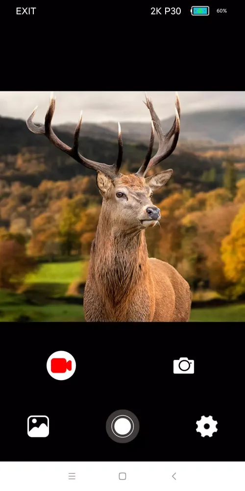 WILDLIFE CAM Screenshots