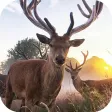 WiFi Hunting Camera WiFi Hunting Camera