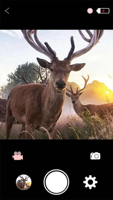 Zrzuty ekranu WiFi Hunting Camera
