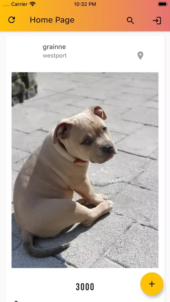 Captures d'écran de Pedigree Pet Finder