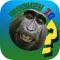 MonkeyIQ