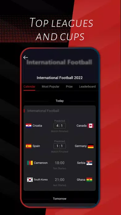 Panna Football Ekran Görüntüleri