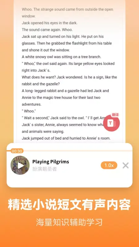 Learn English language– Light Screenshots