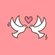 简爱Love