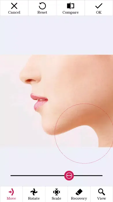 Скриншоты Photo Plastic Surgery Pro