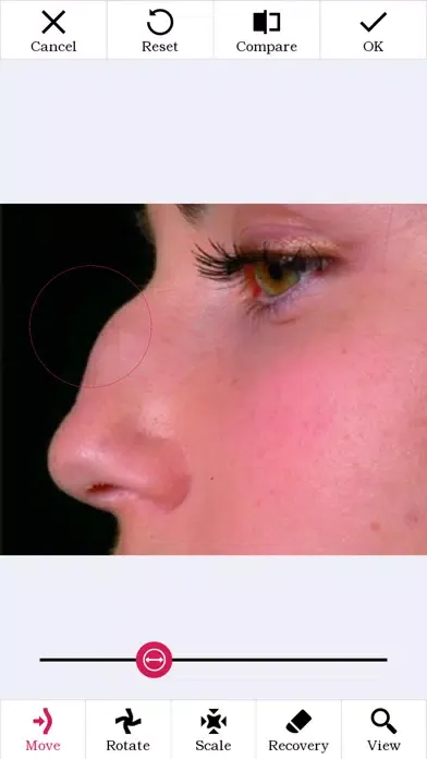 Скриншоты Photo Plastic Surgery Pro